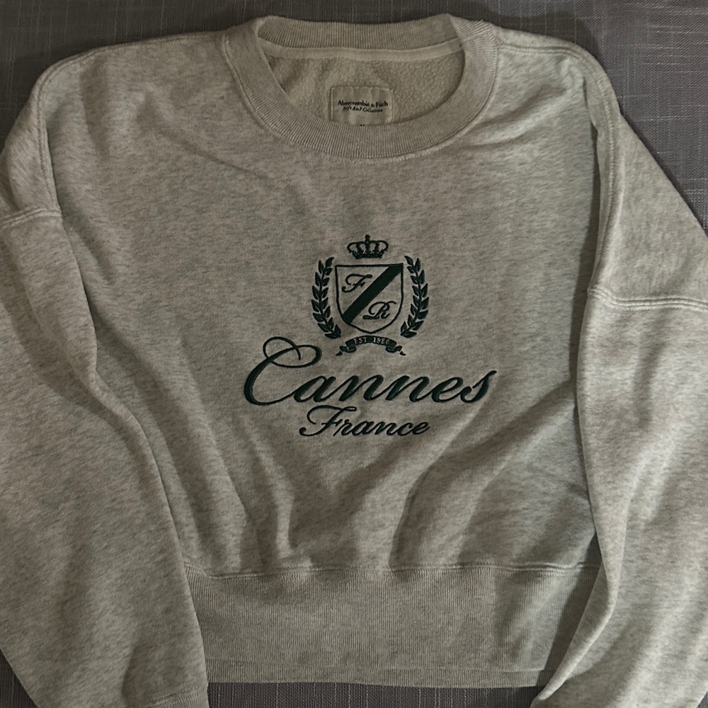 Abercrombie & Fitch Soft Gray Sweatshirt